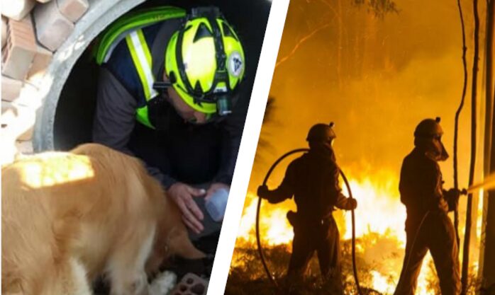 foto interventi protezione civile