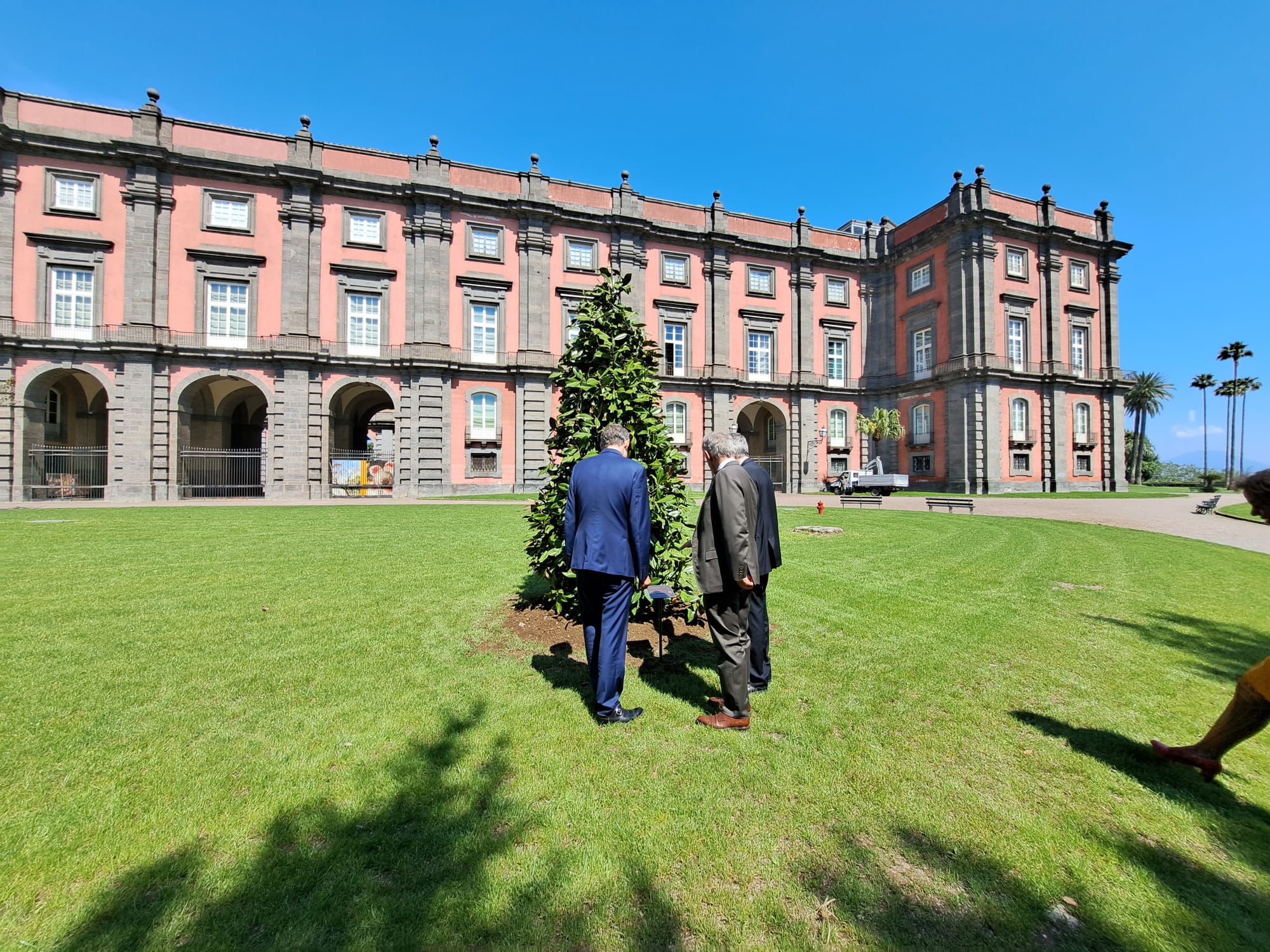Piantumazione dell'Albero dell'Amicizia a Capodimonte