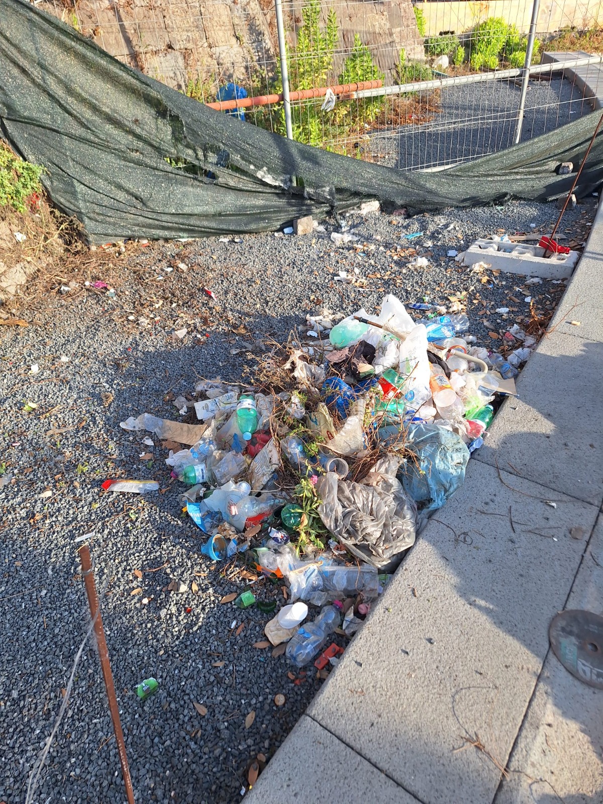 Ripulite le mura perimetrali del Maschio Angioino: raccolte oltre 5 tonnellate di rifiuti